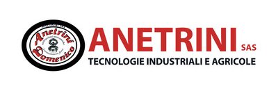 Anetrini